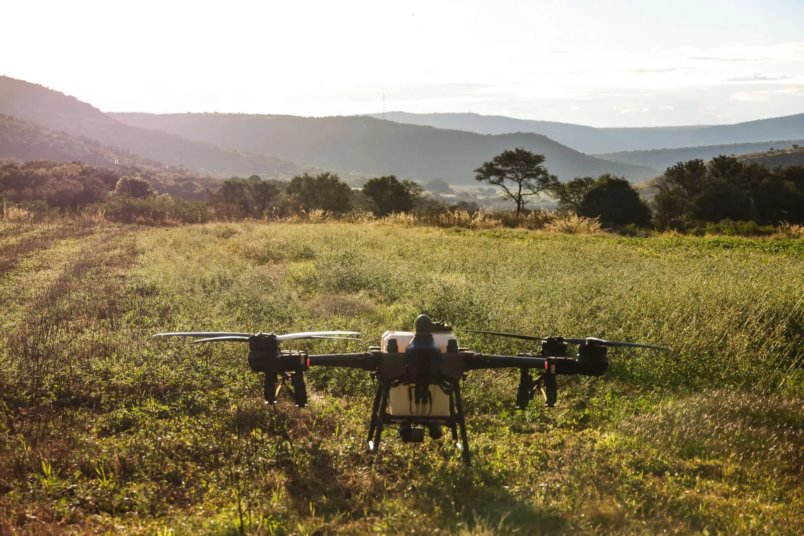 A drone surveying from above